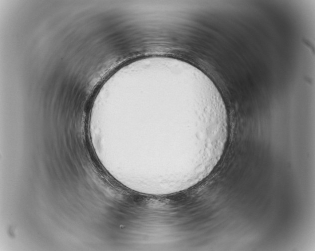 X0000103500346200810101051