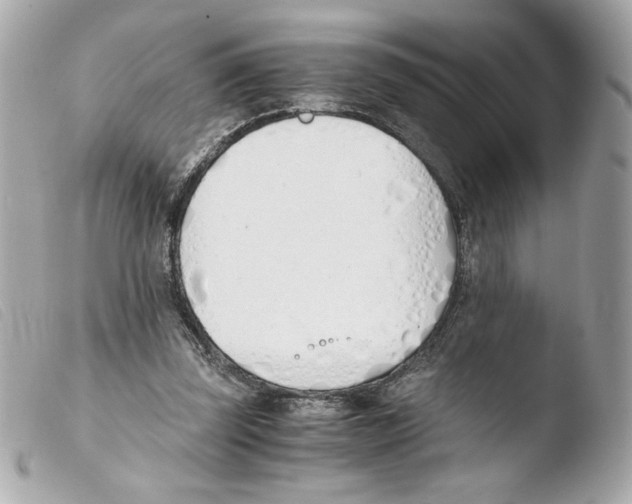 X0000103500347200810101051