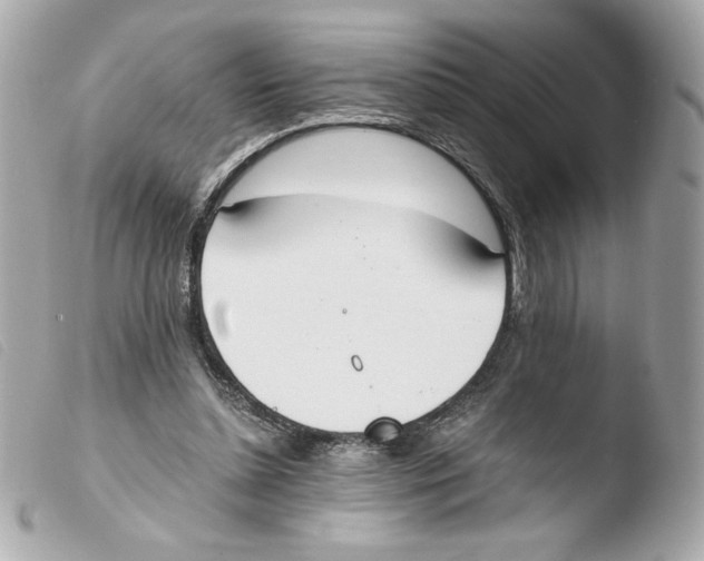 X0000103500348200810101051