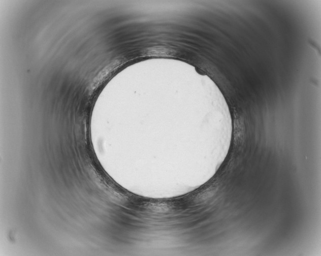 X0000103500349200810101051