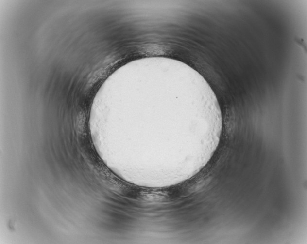 X0000103500359200810101051