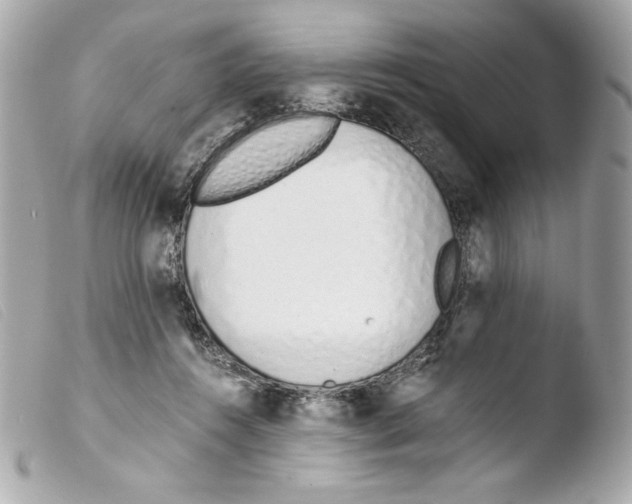 X0000103500360200810101051