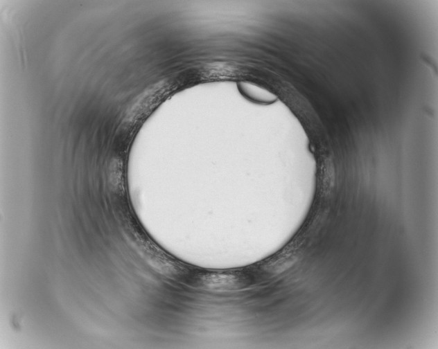 X0000103500361200810101051