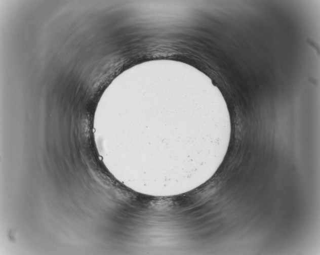 X0000103500362200810101051