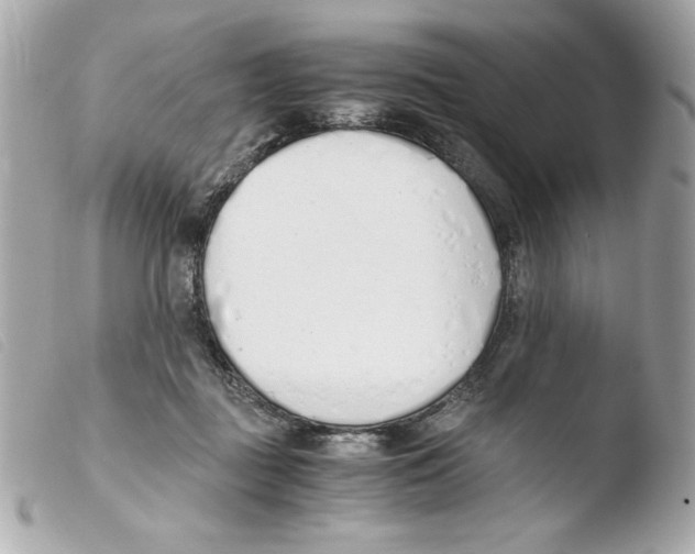 X0000103500363200810101051