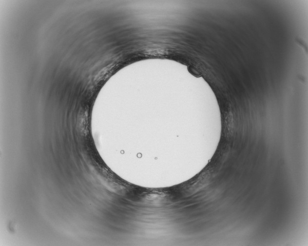 X0000103500364200810101051