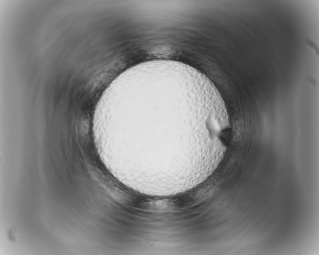 X0000103500365200810101052