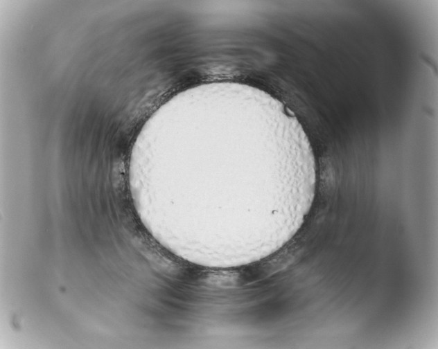 X0000103500369200810101052