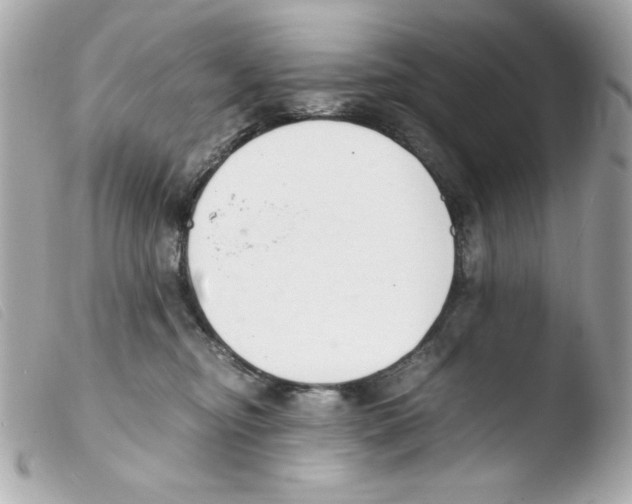 X0000103500374200810101052