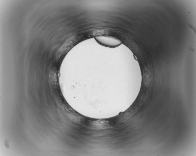 X0000103500375200810101052