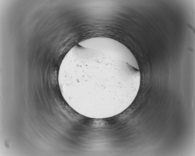 X0000103500376200810101052