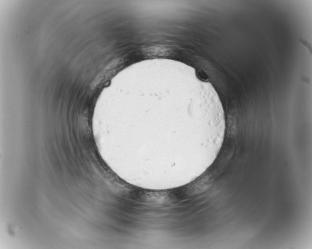 X0000103500377200810101052