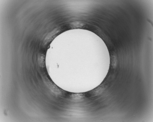 X0000103500378200810101052