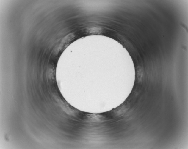 X0000103500379200810101052