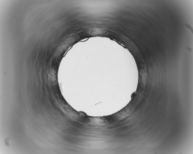 X0000103500380200810101052