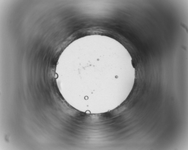 X0000103500382200810101052