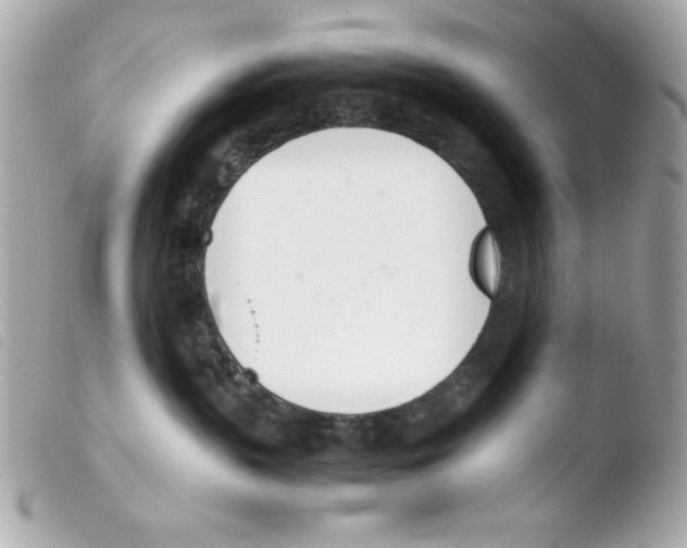 X0000103500383200810101052