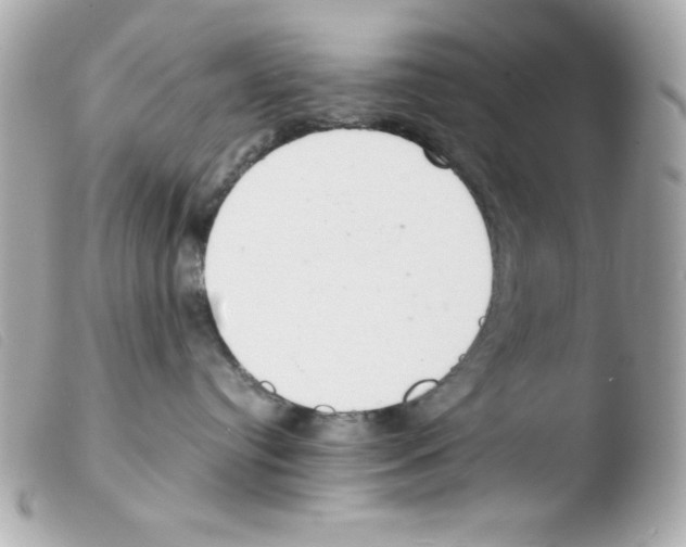 X0000103500384200810101052