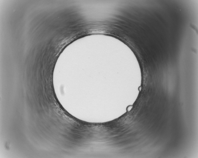 X0000103500385200810101051