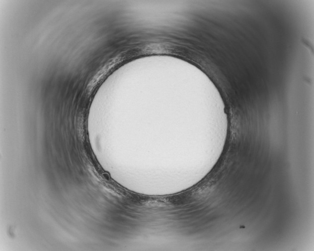 X0000103500386200810101051