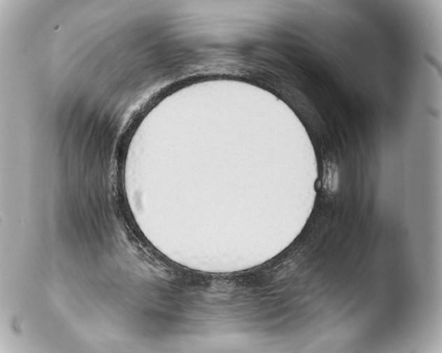 X0000103500388200810101051