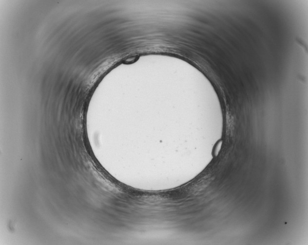 X0000103500389200810101051