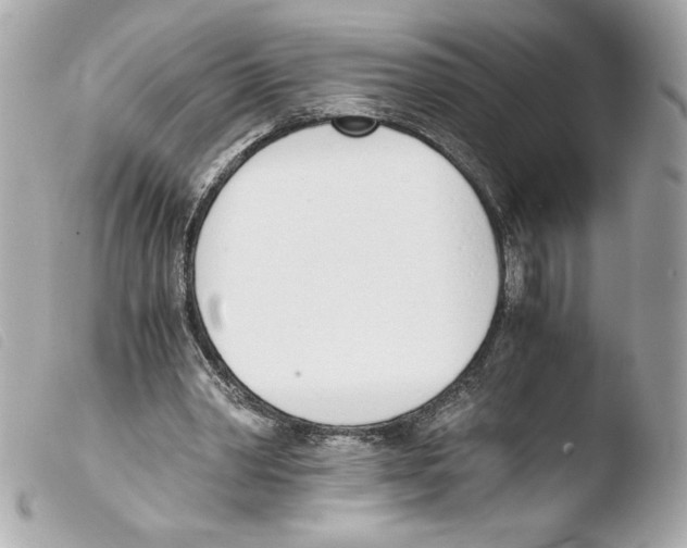 X0000103500390200810101051