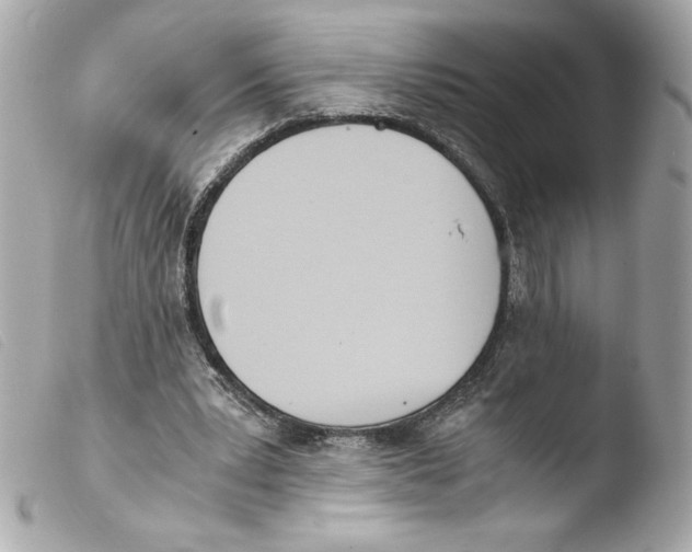 X0000103500391200810101051