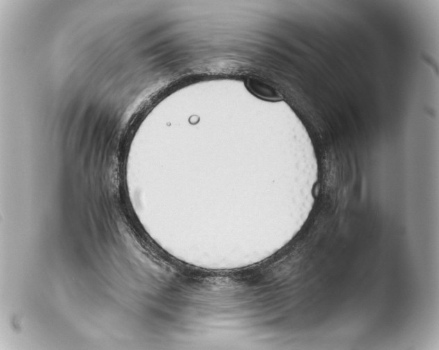 X0000103500392200810101051