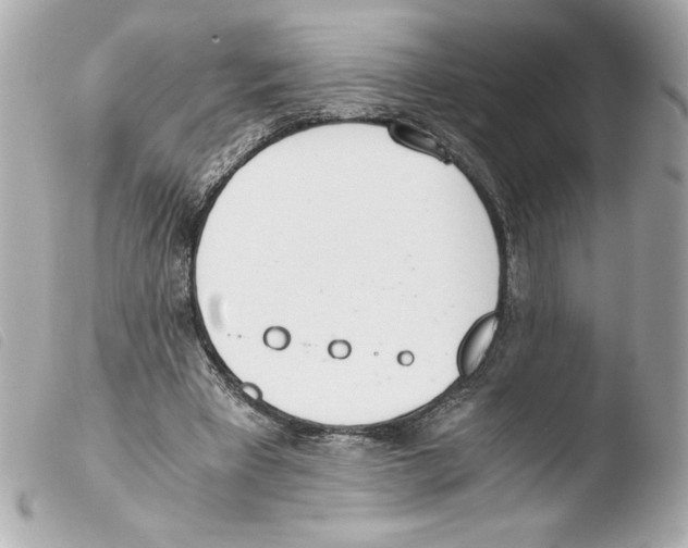 X0000103500393200810101051