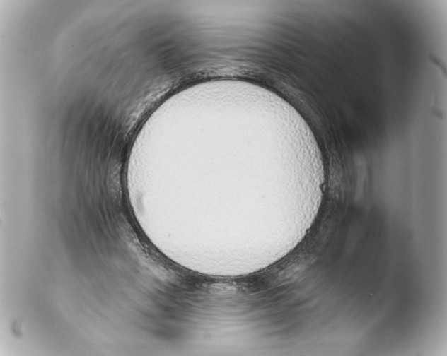 X0000103500394200810101051