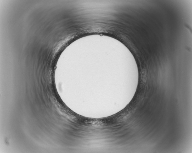 X0000103500395200810101051