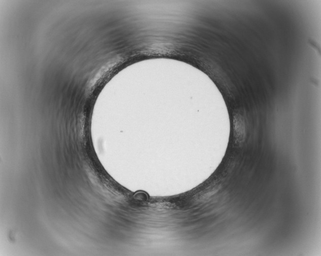 X0000103500396200810101051