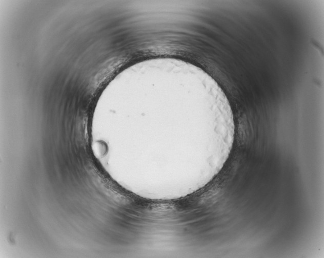 X0000103500398200810101051