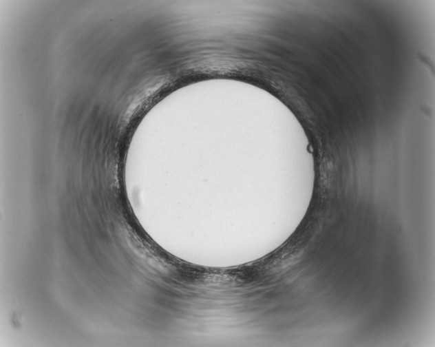 X0000103500399200810101051