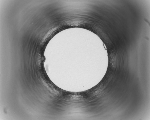 X0000103500400200810101051