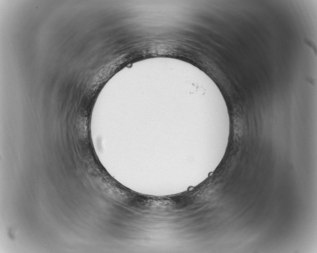 X0000103500401200810101051