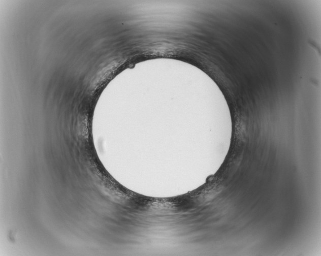 X0000103500403200810101051