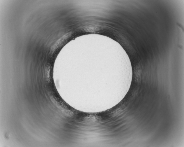 X0000103500404200810101051