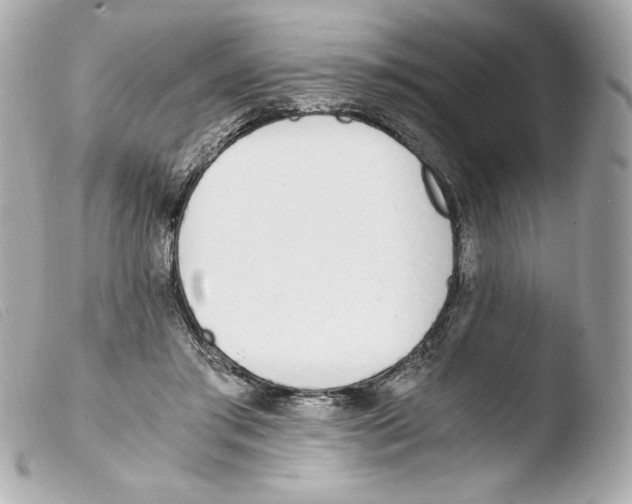 X0000103500405200810101051