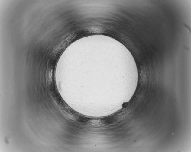 X0000103500406200810101051