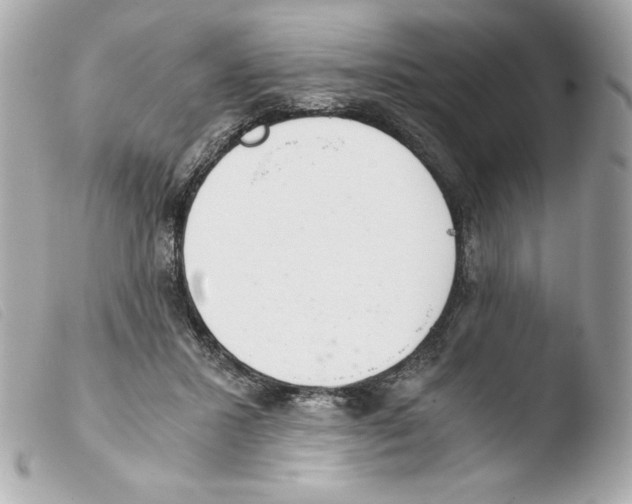 X0000103500407200810101051