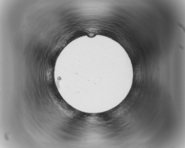 X0000103500408200810101051