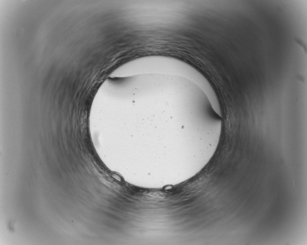 X0000103500409200810101051