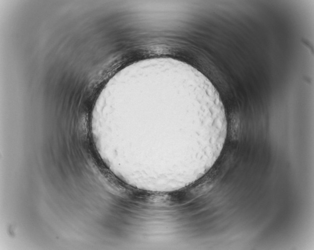 X0000103500410200810101051