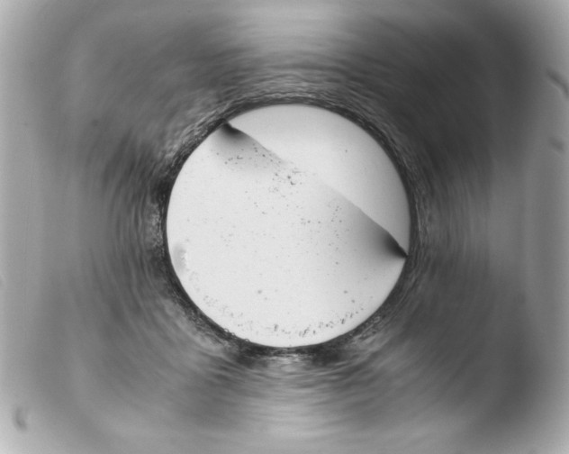 X0000103500411200810101051