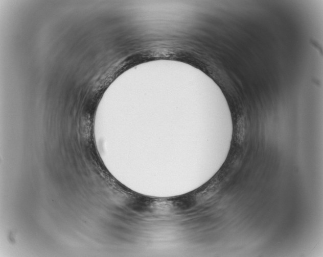 X0000103500413200810101051