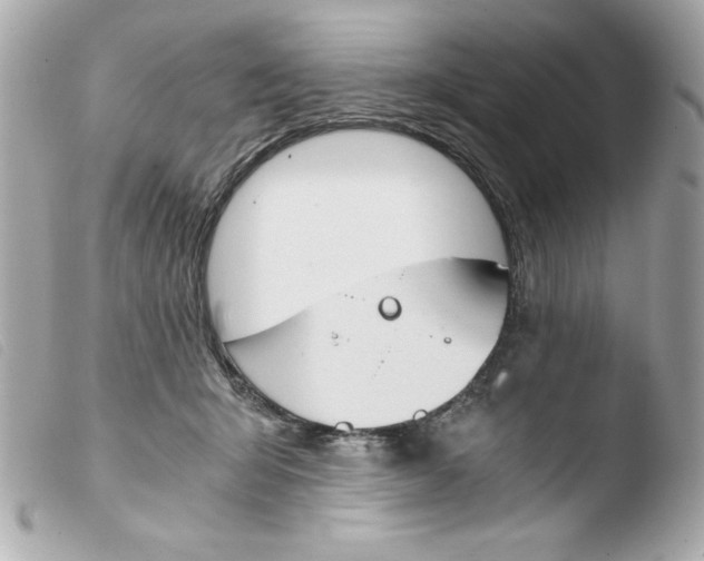 X0000103500415200810101051