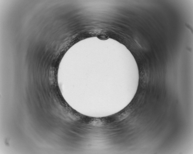 X0000103500416200810101051