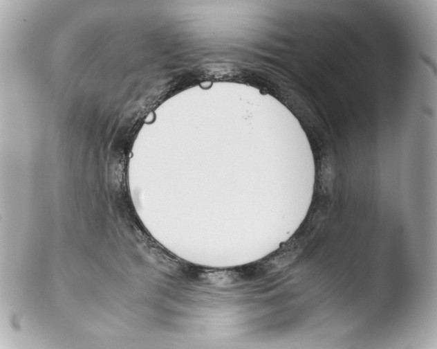 X0000103500417200810101051